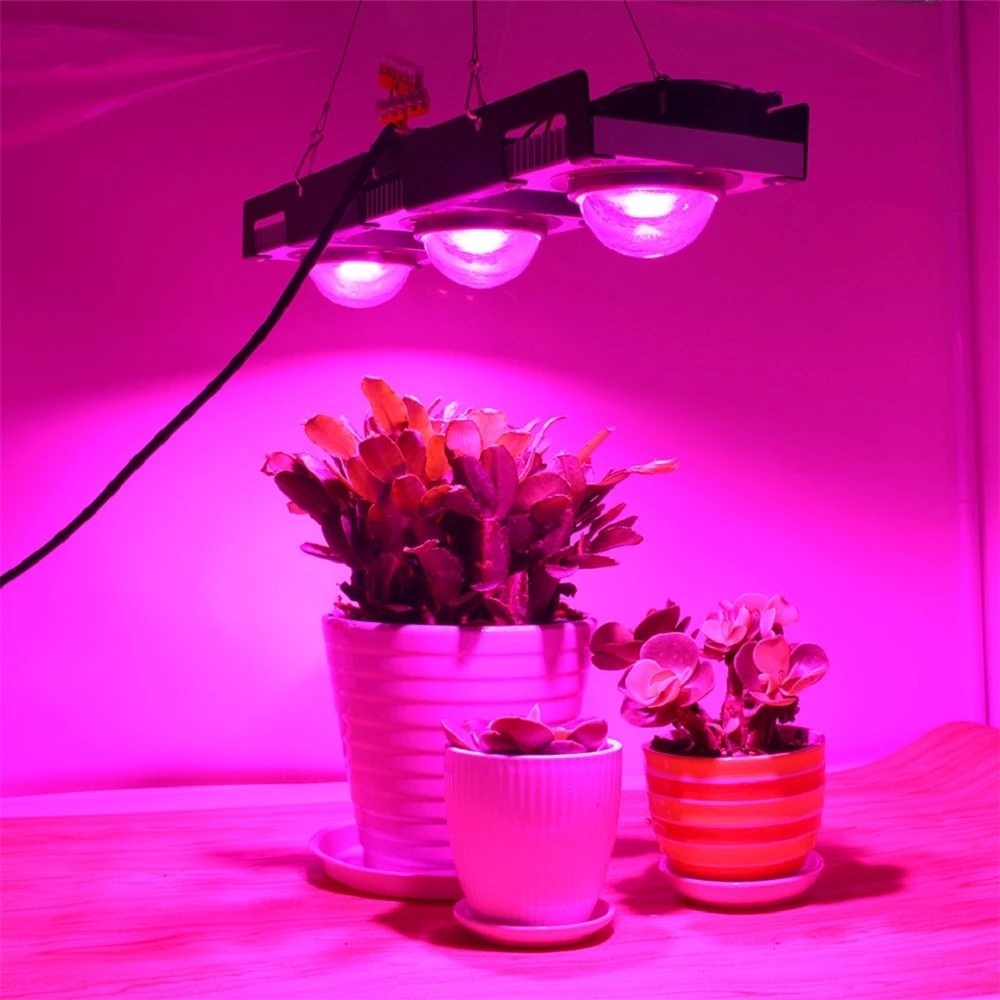 COB LED 성장 빛 전체 스펙트럼 100W 200W 300W LED 식물 실내 식물에 대 한 램프를 성장 꽃 온실 수경 법 성장 텐트